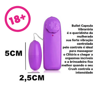 KIT 5 MAIS - Kit Vibrador Bullett Multivelocidade+ Penis Personal+ Golfinho ponto G + Plug anal + Egg masturbador  - Sex Shop