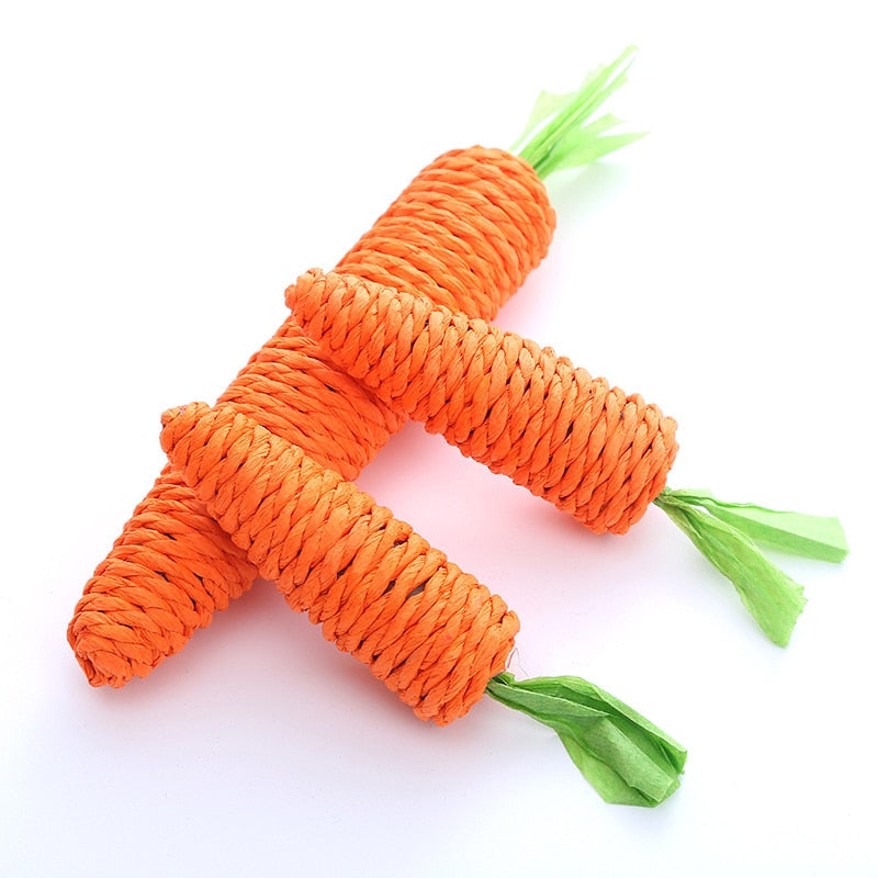 Brinquedo de animal de estimação com formato de Cenoura.